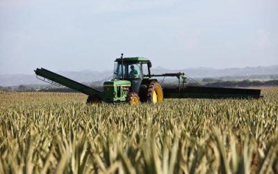 Új gépek és berendezések finanszírozására igényelnének NHP fixet a kkv-k